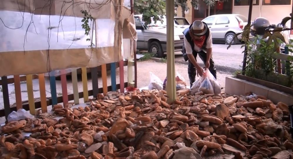 Alanya'da israfa dikkat çekmek için 30 çuval ekmek toplayıp film çektiler