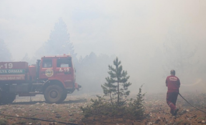 Alanya'da yayladaki orman yangınının bilançosu belli oldu