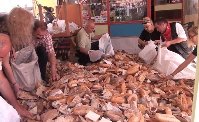 Alanya’da çöpe atılan ekmekler hayvanlara yem olacak