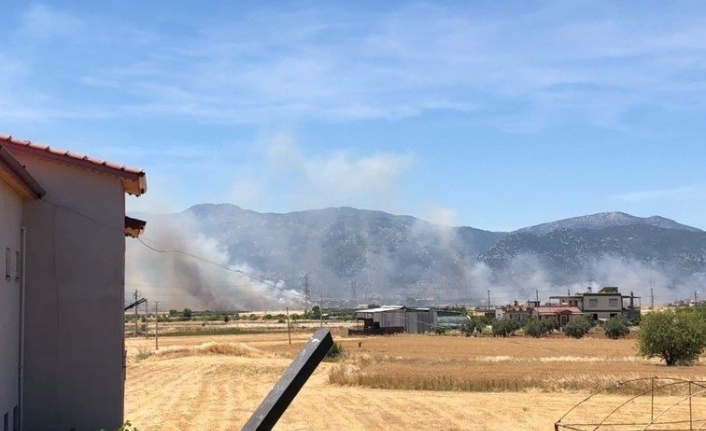 Buğday tarlasında çıkan yangın 30 dönümden fazla ekili alanı küle çevirdi