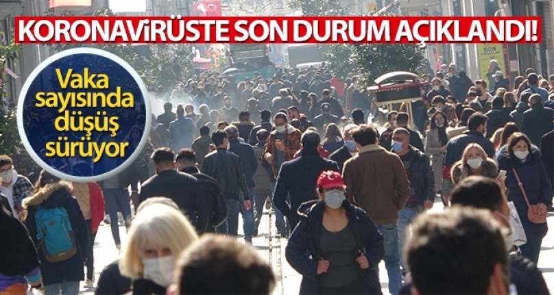 Türkiye'de son 24 saatte 24.733 koronavirüs vakası tespit edildi
