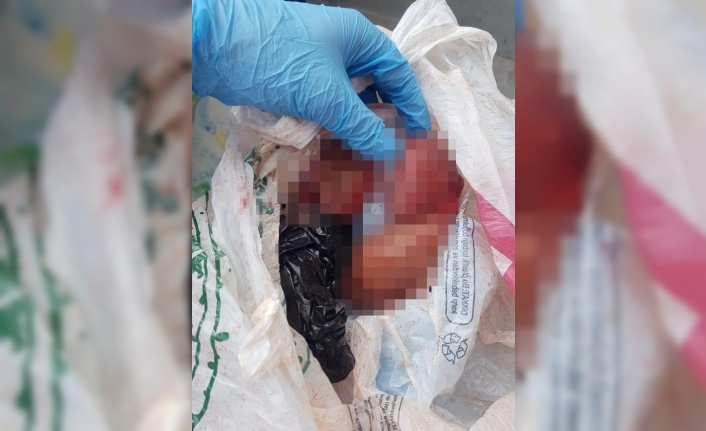 Cadde ortasında düşük yapan kadın, bebeğini çöpe attı