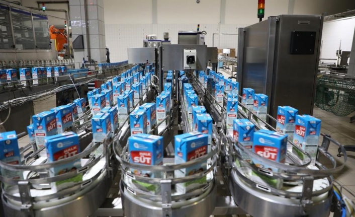 Halk Süt projesi kapsamında 565 bin litre süt dağıtıldı