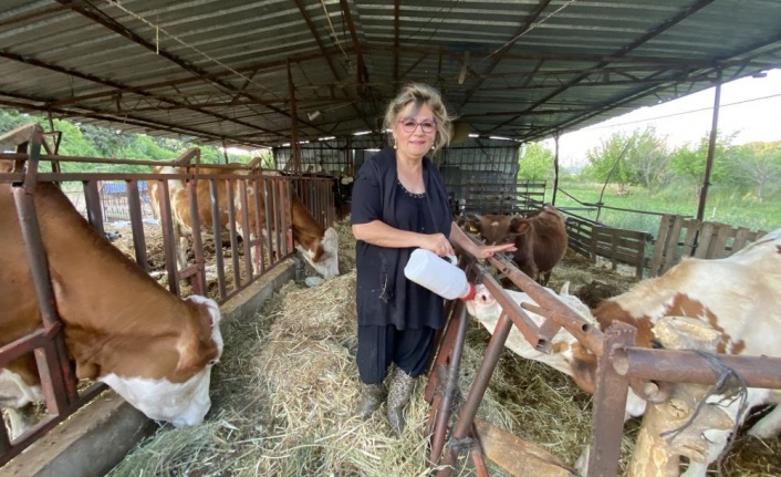 Tatile geldiği ilçede hayatının aşkını buldu, şehir yaşamını bırakıp besiciliğe başladı