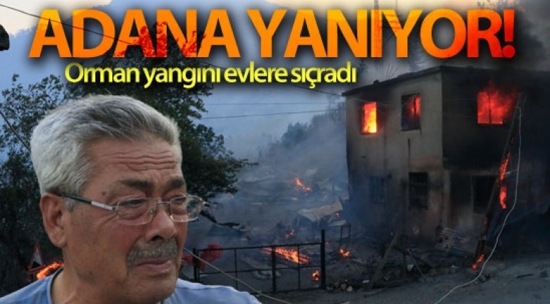 Adana'daki orman yangınında evler alevlere teslim oldu