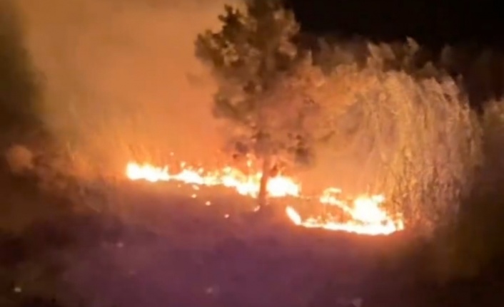 Alanya'da gece alevler yükseldi