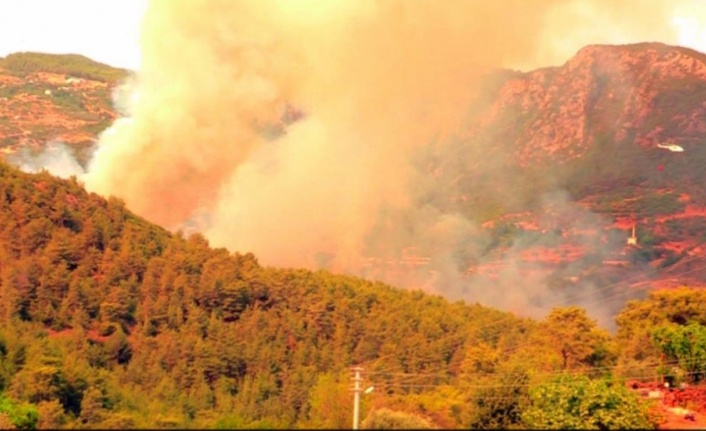 Alanya'daki yangına başsavcıdan soruşturma