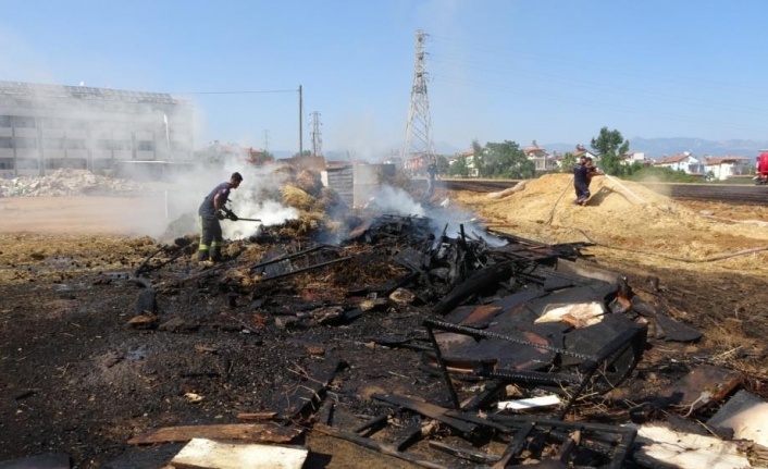 Alevler kümeslerdeki hayvanları vurdu, yürek sızlatan görüntüler ortaya çıktı