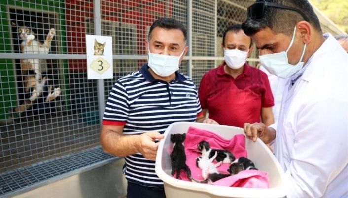 Başkan Yücel: ‘Alanya Belediyesi’ne iftira atıyorlar’