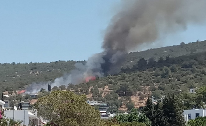 Bodrum'da yangın