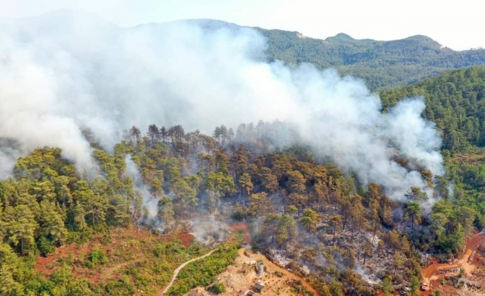 Dikkat! Ormanlık alanlara giriş yasaklandı