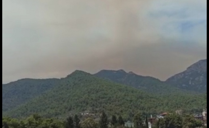 Gündoğmuş yangını Alanya sınırına dayandı