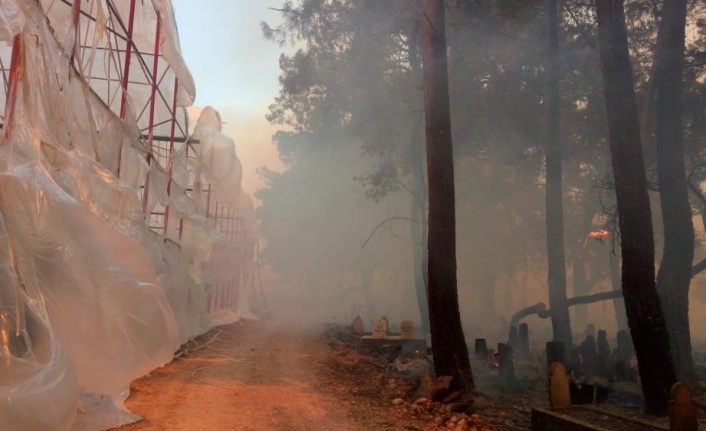 Muz seraları yandı traktörler alevlere teslim oldu