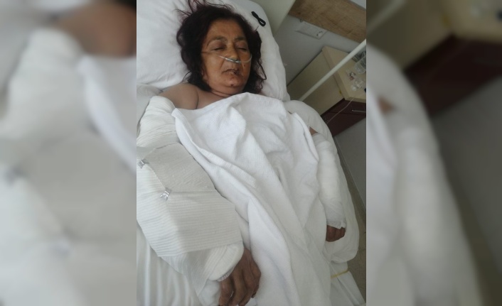 Öfkeli komşu tartıştığı komşusunun evine pompalıyla ateş etti, anne kolundan yaralandı, köpek katledildi