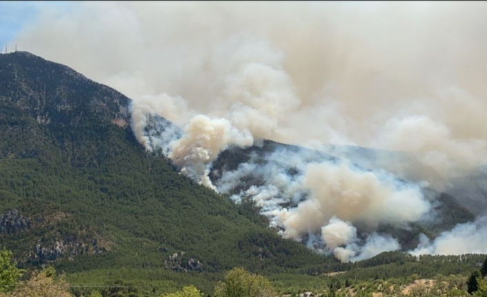 Akseki'de orman yangını devam ediyor
