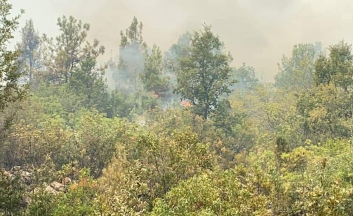 Alanya'da 2 personel yanmaktan son anda kurtarıldı