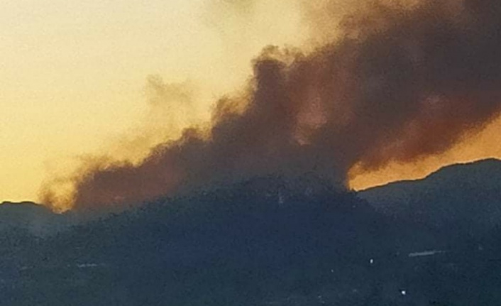 Alanya'da gece alevler yeniden yükseldi