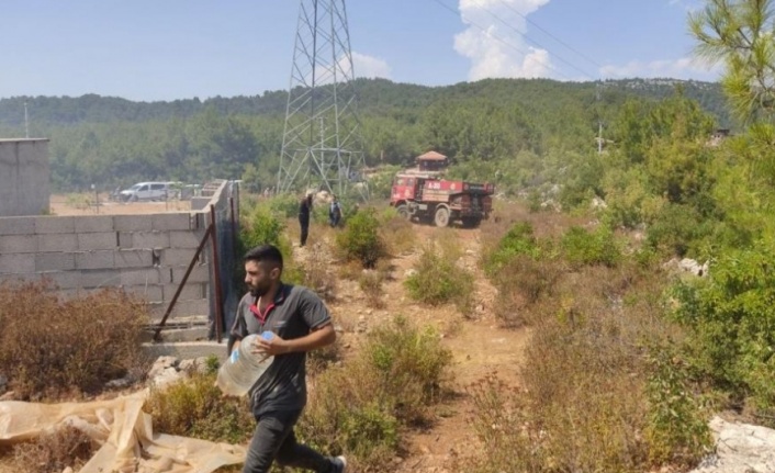 Alanya'daki orman yangını hızlı müdahale ile söndürüldü