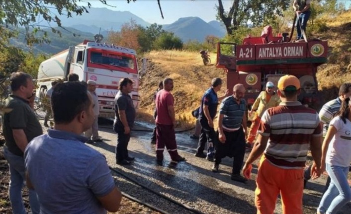 Alanya'daki yangını vatandaşın dikkati önledi