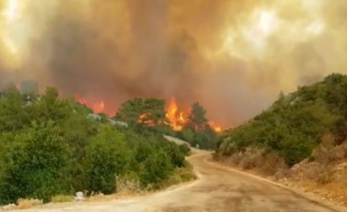 Alanya, Gündoğmuş, İbradı ve Akseki'de yangınlarda son durum