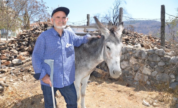 Antalya’daki orman yangınından 82 yaşındaki yaşlı adamı jandarma kurtardı