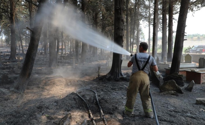Büyükşehir 646 araç bin 767 personel ile yangın bölgesinde görev yapıyor