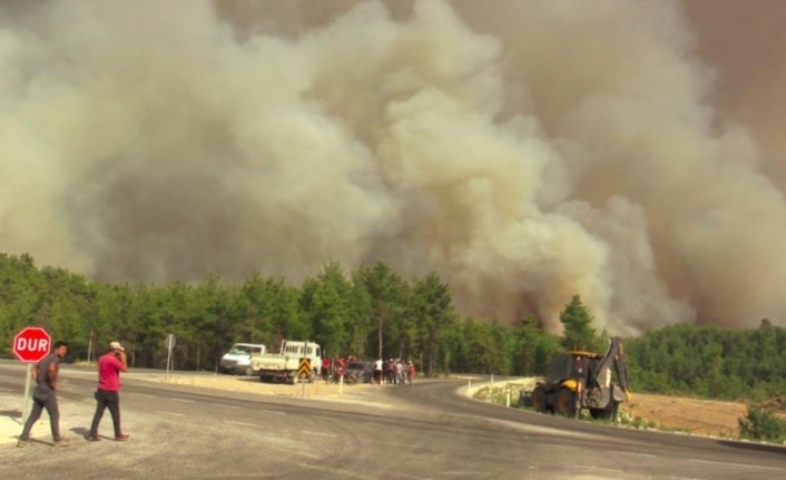 Mahalleye yaklaşan alevlere vatandaşlar yangın söndürme tüpüyle müdahale etti