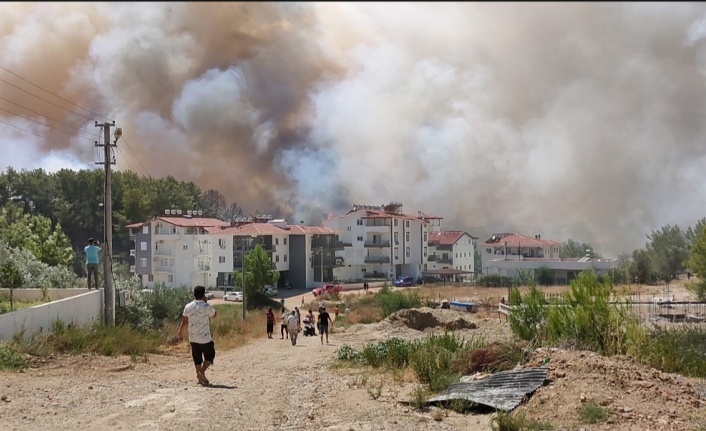 Manavgat'ta orman yangını yeniden başladı
