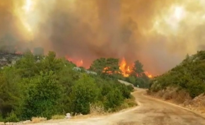 Manavgat'ta yükselen alevler köyü boşalttı