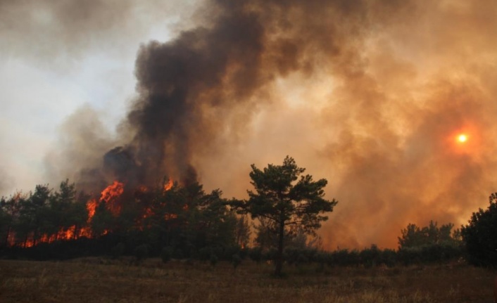 Manavgat’ta alevler yeniden metrelerce yükseldi, ekipler havadan karadan müdahale etti