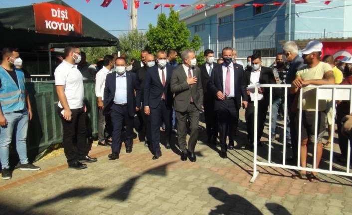 MHP’den Manavgat’a 2 bin 393 küçükbaş, 107 büyükbaş hayvan desteği