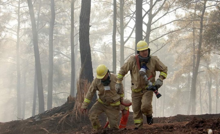 Orman Genel Müdürü Karacabey yangınlara ilişkin açıklamada bulundu