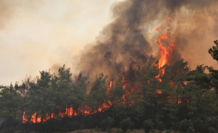 Orman yangınlarıyla boğuşan vatandaşa sevindirici haber