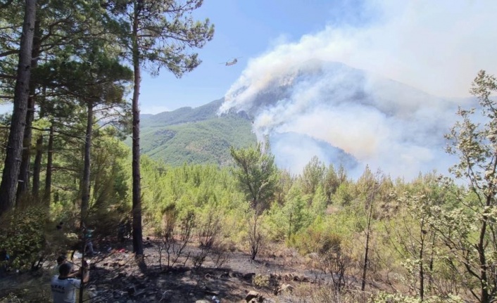 Rüzgarın da etkisi ile Güğlen Dağında yangın etkili oluyor