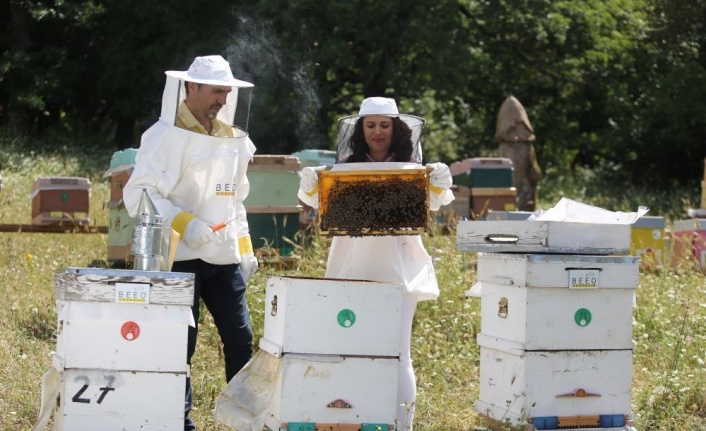 Ülke genelindeki orman yangınları arıları ve arıcılığı tehdit ediyor