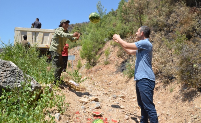 Yaban hayatı için yanan ormana 10 ton karpuz bırakıldı