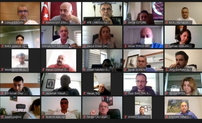 Yangından sonra zeytin ve zeytinyağı zararı 100 milyon TL