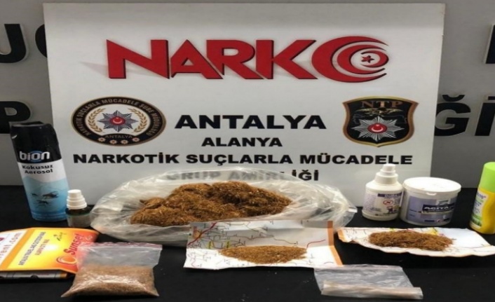 Alanya'da uyuşturucu operasyonu: 3 gözaltı
