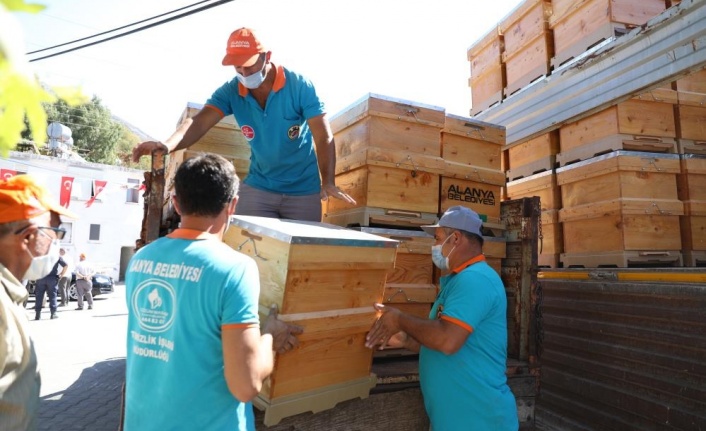 Alanya'da yangında kovanları zarar gören 23 arıcıya ücretsiz 350 arı kovanı dağıtıldı