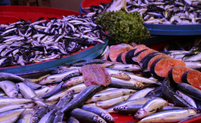 Bu yıl palamut yok denilecek kadar az