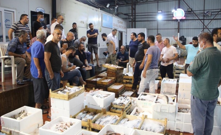 Denizde av sezonu açıldı, Antalya'da ilk balıklar kapış kapış satıldı