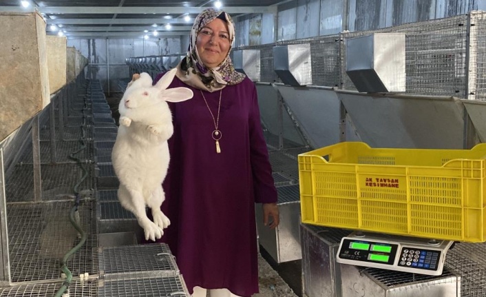 Emekli kadın polis hobi olarak başladığı tavşan üretiminde devlet desteğiyle büyüdü