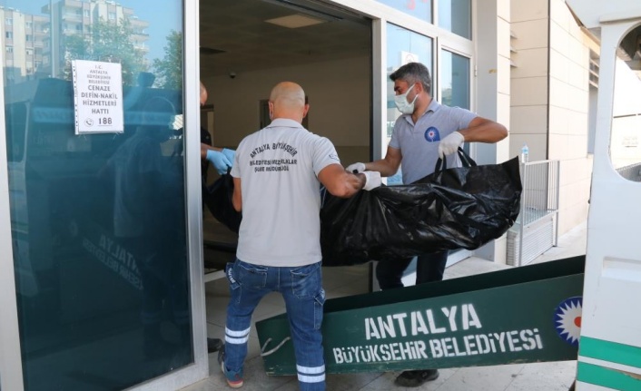 Fotoğraf çekme bahanesiyle çıktığı 109 metrelik kuleden ölüme atladı