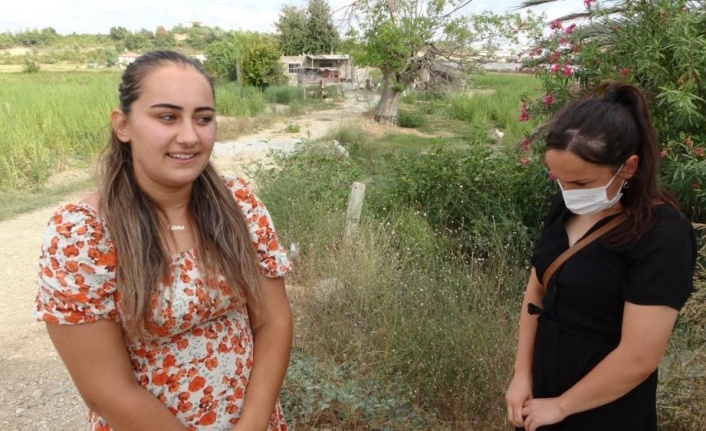 Garsonluk yaptıkları otelde çöpe atılan yemeklerle sokak köpeklerini besliyorlar