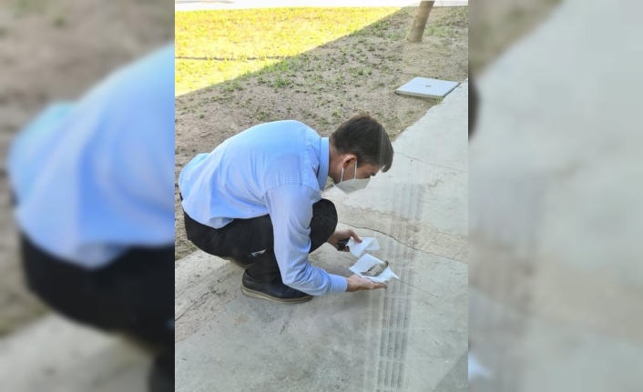 Restoran camına çarpan serçe, başkanın makam aracıyla hayata tutundu