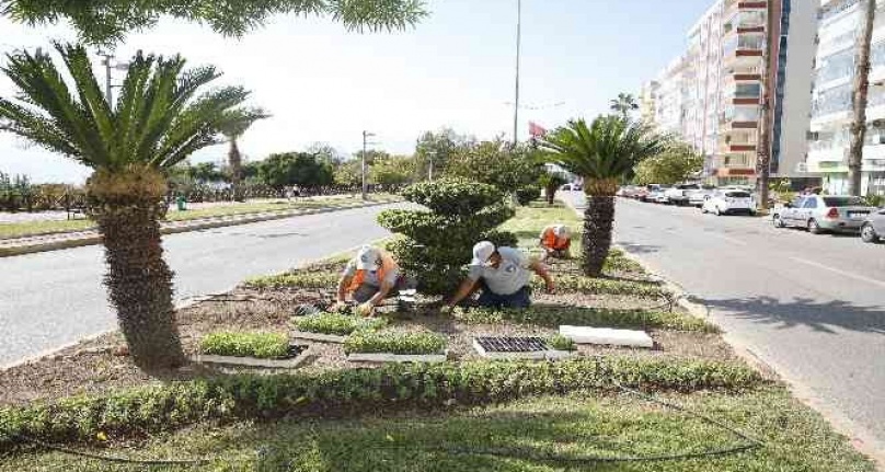 3 milyon kışlık çiçek toprakla buluşuyor