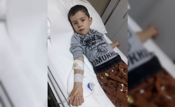 Alanya'da çocuklara neler oluyor?