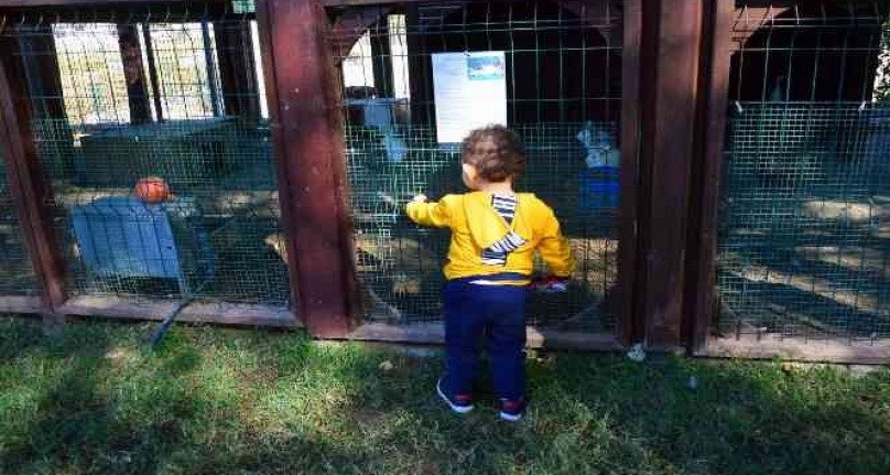 Anka Kuşları projesinde çocuklar son kez bir arada