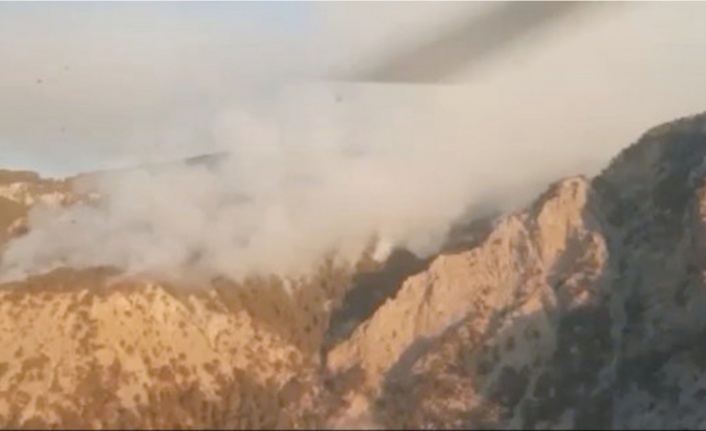 Antalya'daki 2 yangına havadan ve karadan müdahale sürüyor