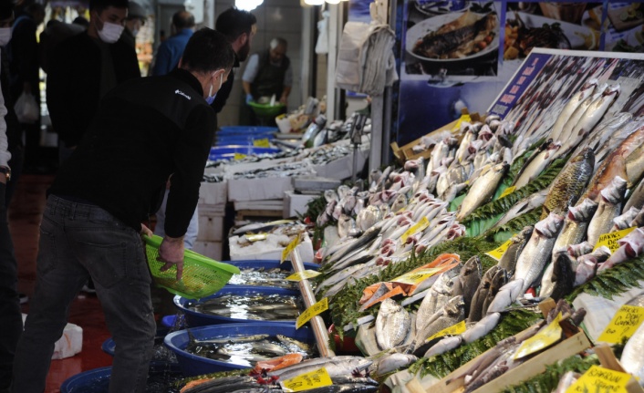 Balık tezgahlarında lüfer bolluğu devam ediyor